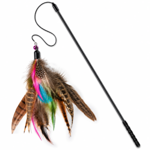 Interactive Feather Wand Cat Toy with Colorful Feather Teaser for Indoor Play