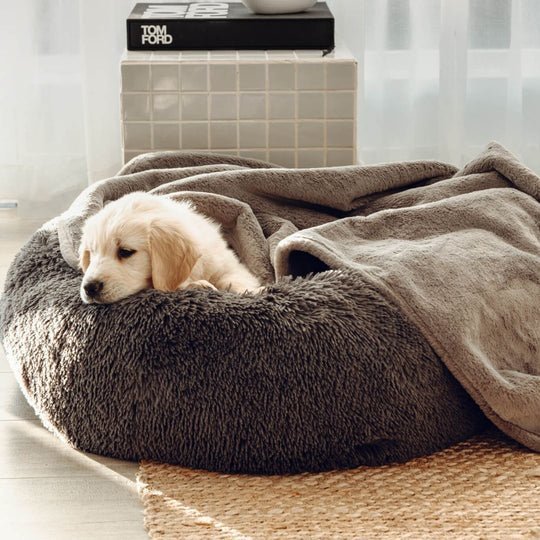 bouclé dog bed & weighted blanket bundle bouclé dog bed & weighted blanket bundle
