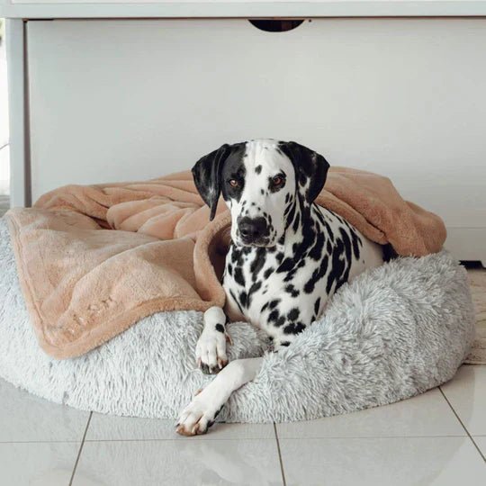 bouclé dog bed & weighted blanket bundle bouclé dog bed & weighted blanket bundle