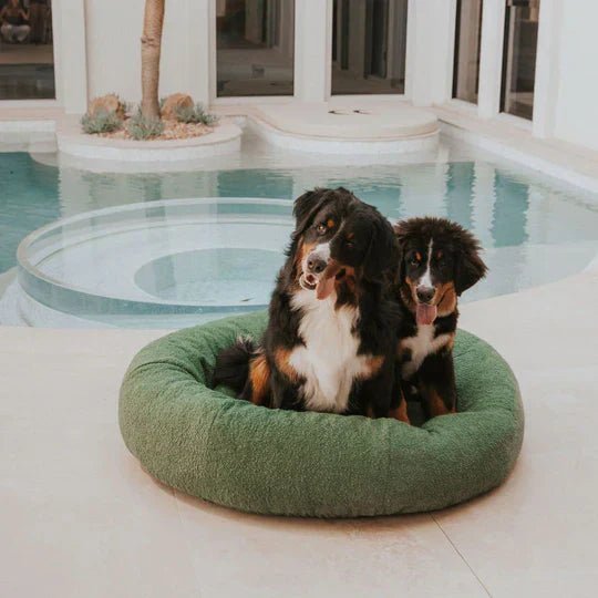 bouclé dog bed & weighted blanket bundle bouclé dog bed & weighted blanket bundle