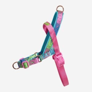 import placeholder for 971