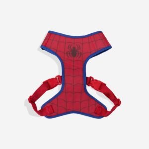 import placeholder for 1144