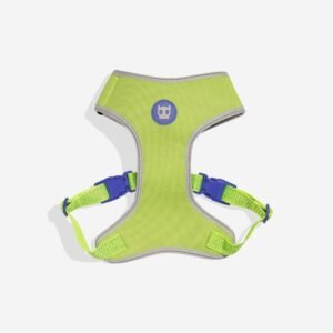import placeholder for 1004