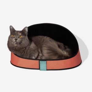 import placeholder for 1150