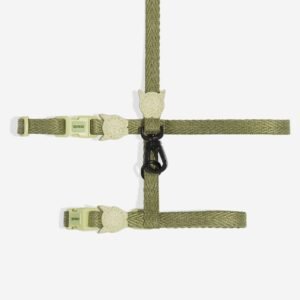 import placeholder for 983