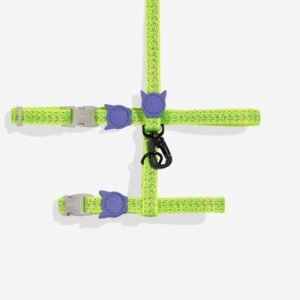 import placeholder for 1010