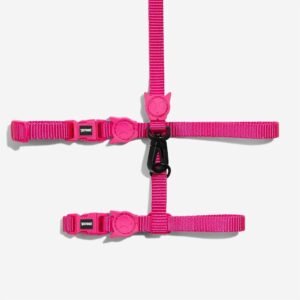 import placeholder for 1121