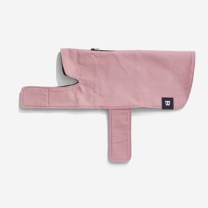 import placeholder for 1123