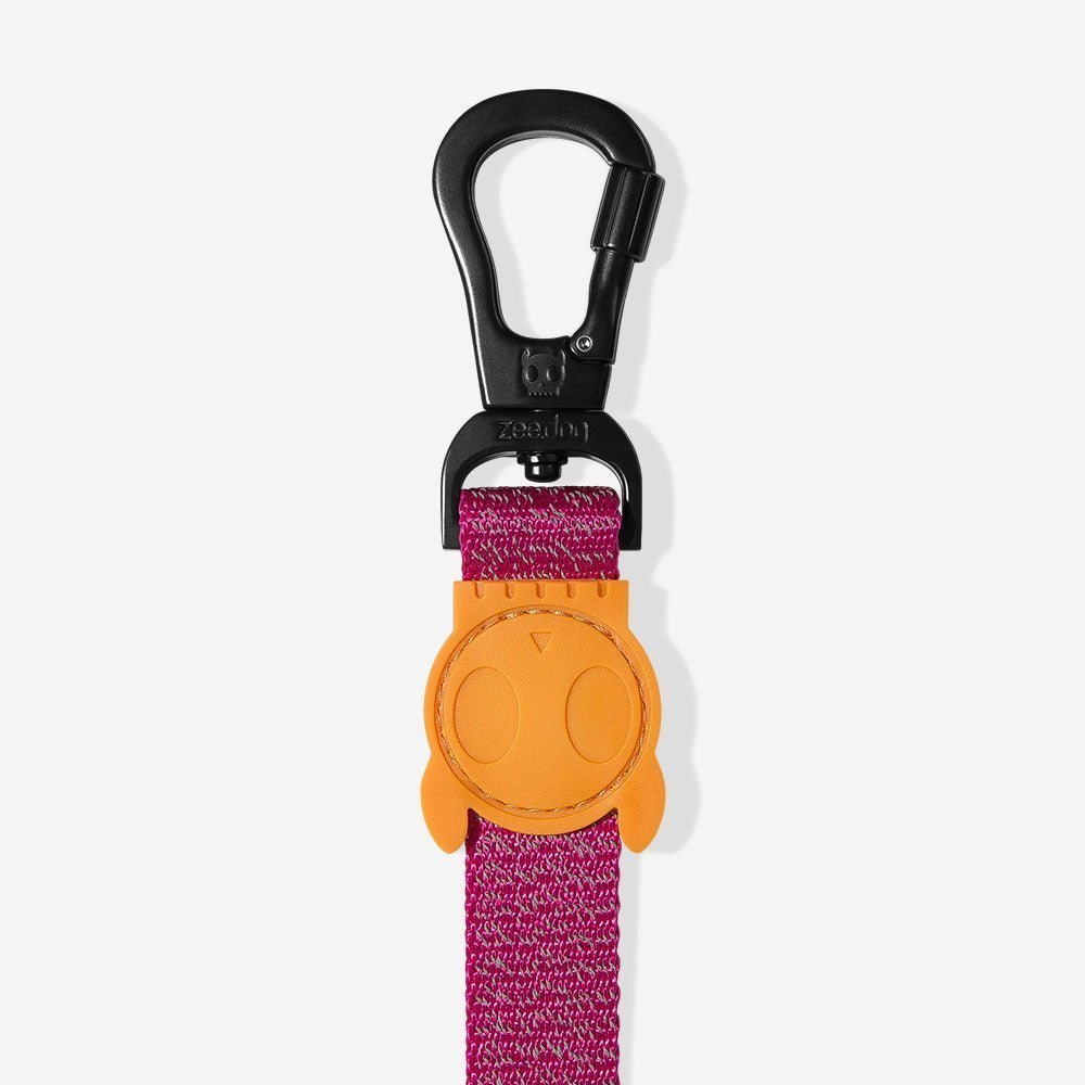 nox sidus | leash nox sidus | leash