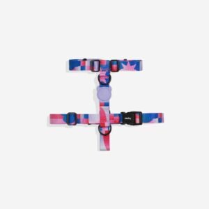 import placeholder for 995