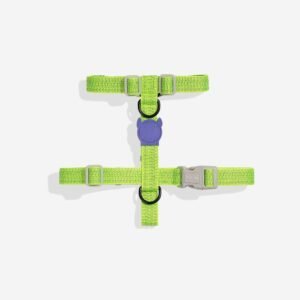 import placeholder for 1016