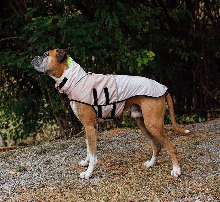 oatmeal | packable raincoat oatmeal | packable raincoat