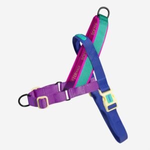 import placeholder for 1140