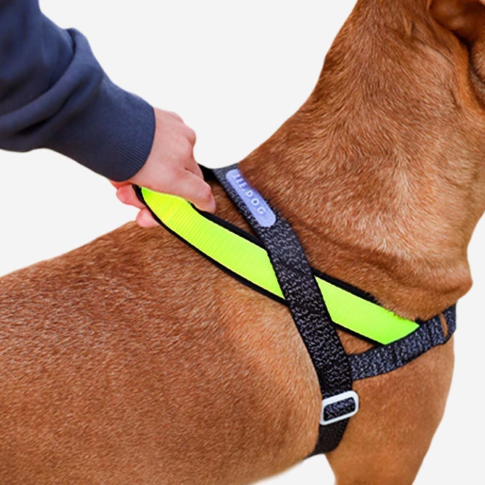 nox | softerwalk harness nox | softerwalk harness