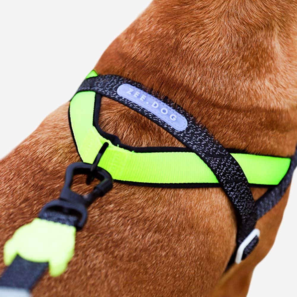 nox | softerwalk harness nox | softerwalk harness